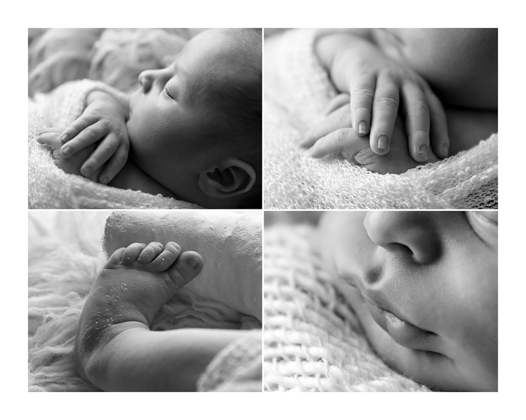 Newborn Photographer Toowoomba Sarah Gage Photography 4