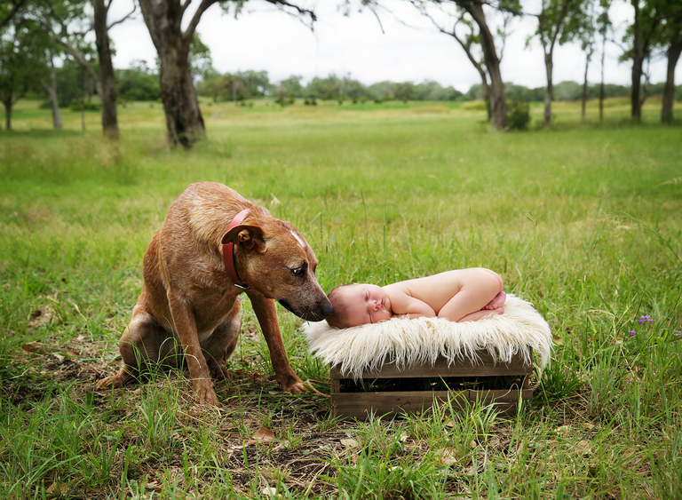 Newborn photography toowoomba sarah gage photography 5