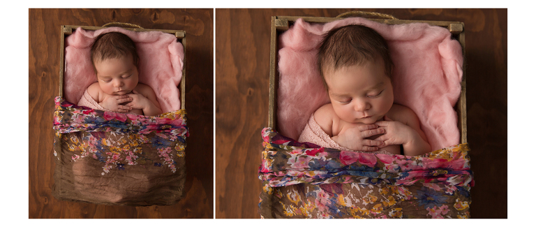 Toowoomba Newborn Photographer Sarah Gage Photography 5