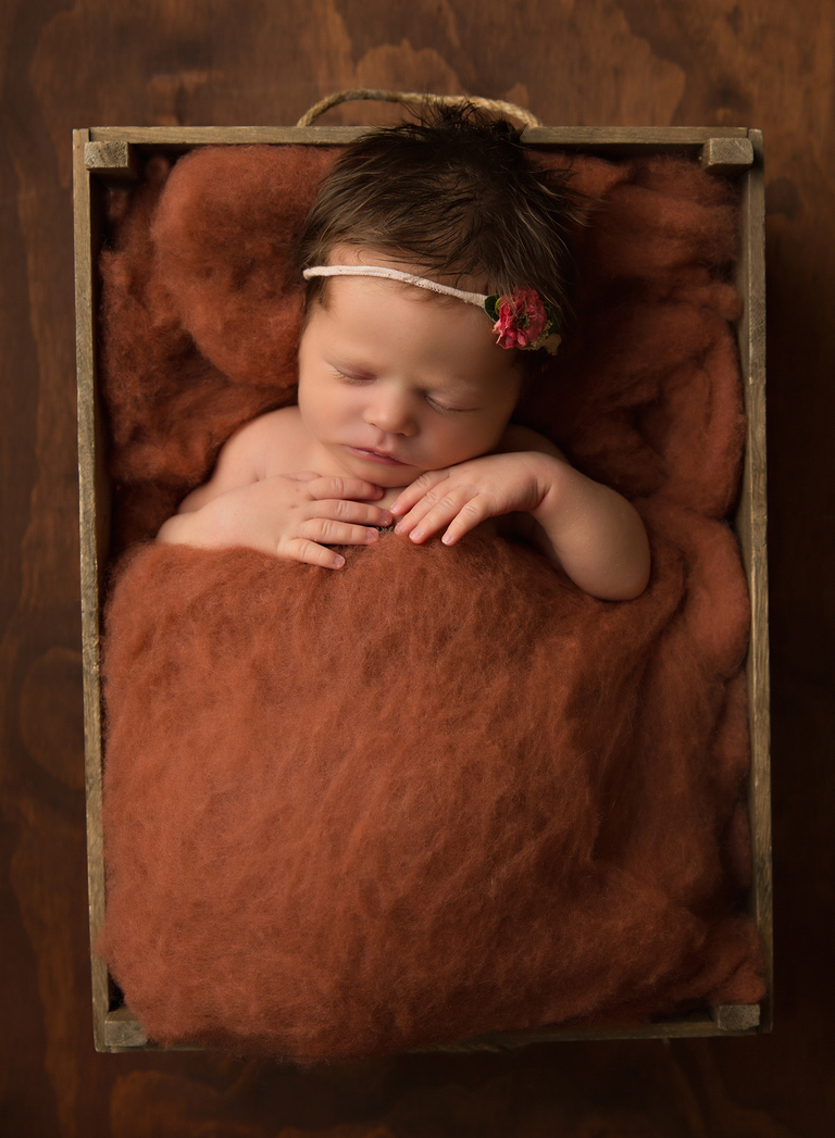 Toowoomba Newborn Photographer Sarah Gage Photography 4