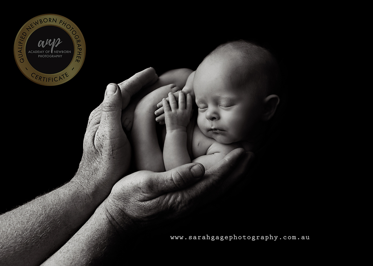 Toowoomba Newborn Photographer Sarah Gage Photography 6