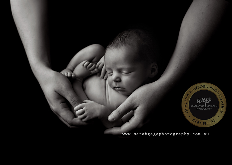Toowoomba Newborn Photographer Sarah Gage Photography 9